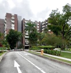 Cavenagh Court (D9), Apartment #458965061
